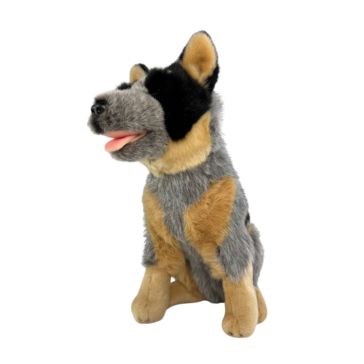 Bocchetta Marshall 30cm Sitting Blue Heeler Cattle Dog Plush Toy (Australian Stuffed Animal Gift)