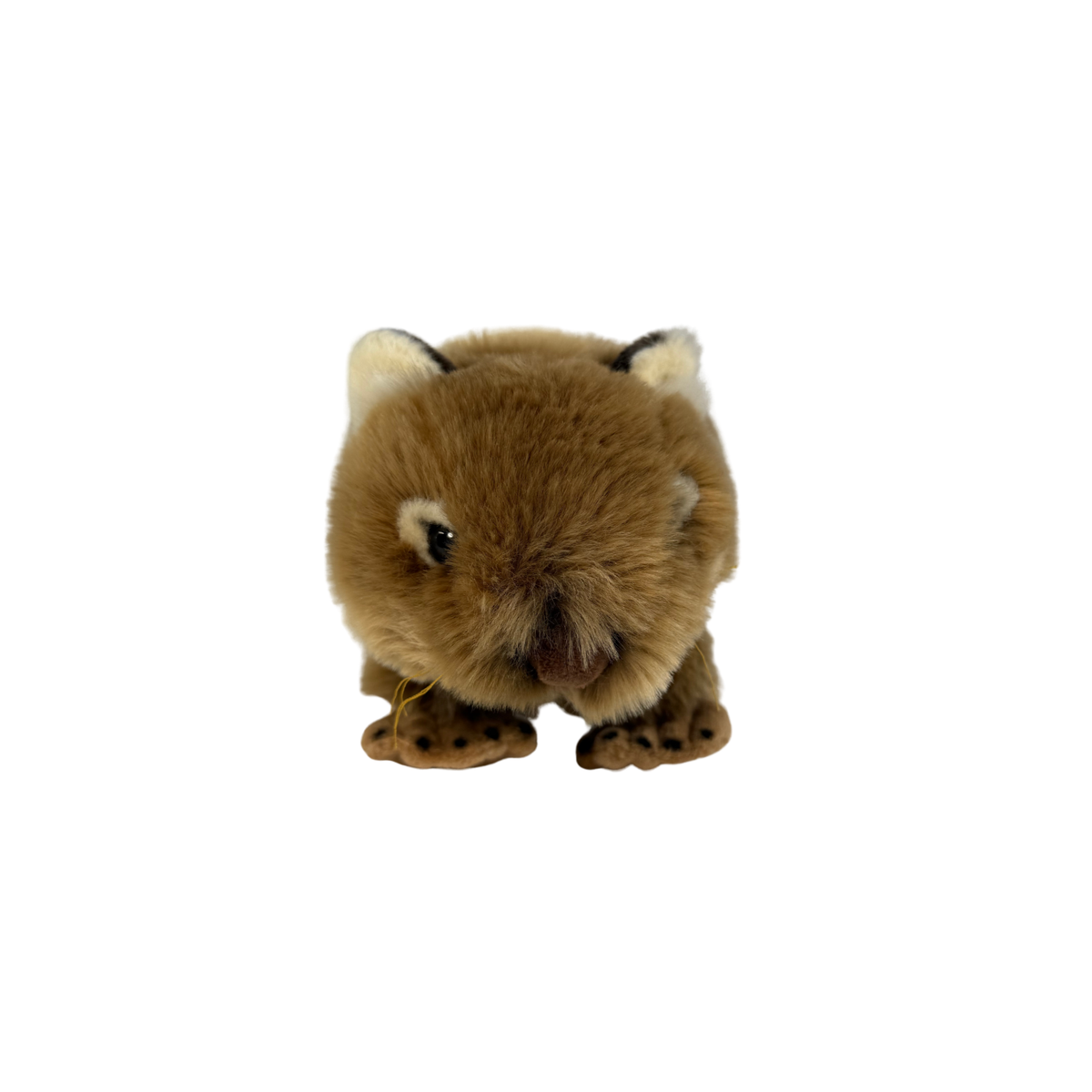 Bocchetta Matilda 30cm Wombat Plush Toy (Australian Stuffed Animal Souvenir Gift)