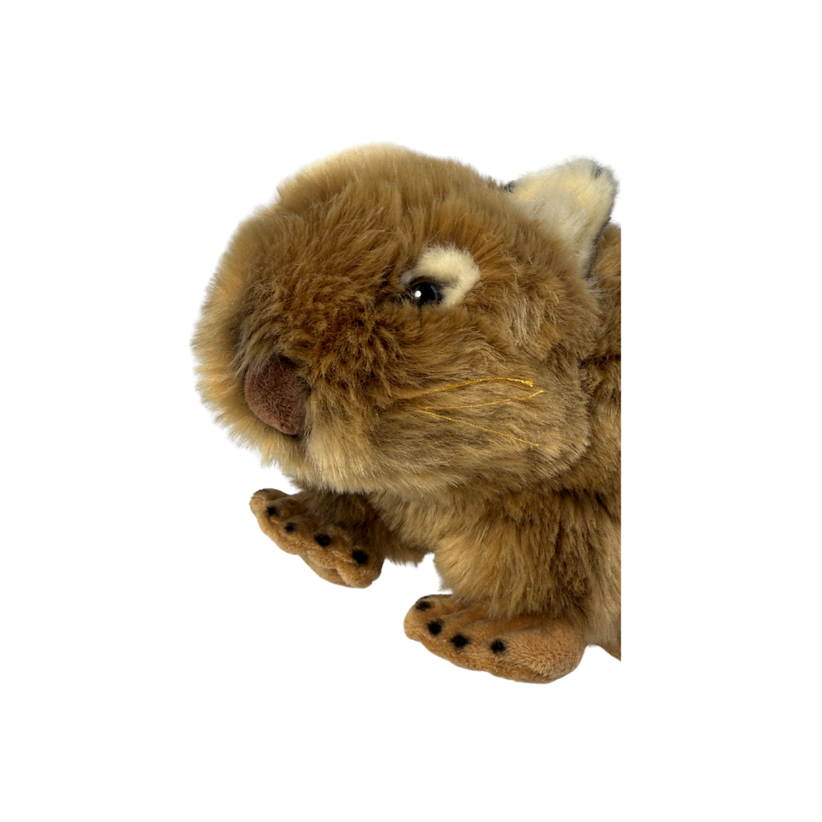 Bocchetta Matilda 30cm Wombat Plush Toy (Australian Stuffed Animal Souvenir Gift)