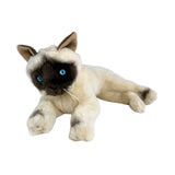 Bocchetta Mia 30cm Lying Burmese Cat Plush Toy (Realistic Stuffed Animal Cat Gift)