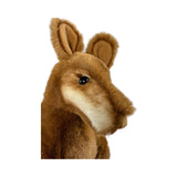 Bocchetta Miles 30cm Red-Necked Bennett's Wallaby Plush Toy (Australian Stuffed Animal Souvenir Gift)