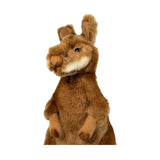 Bocchetta Miles 30cm Red-Necked Bennett's Wallaby Plush Toy (Australian Stuffed Animal Souvenir Gift)