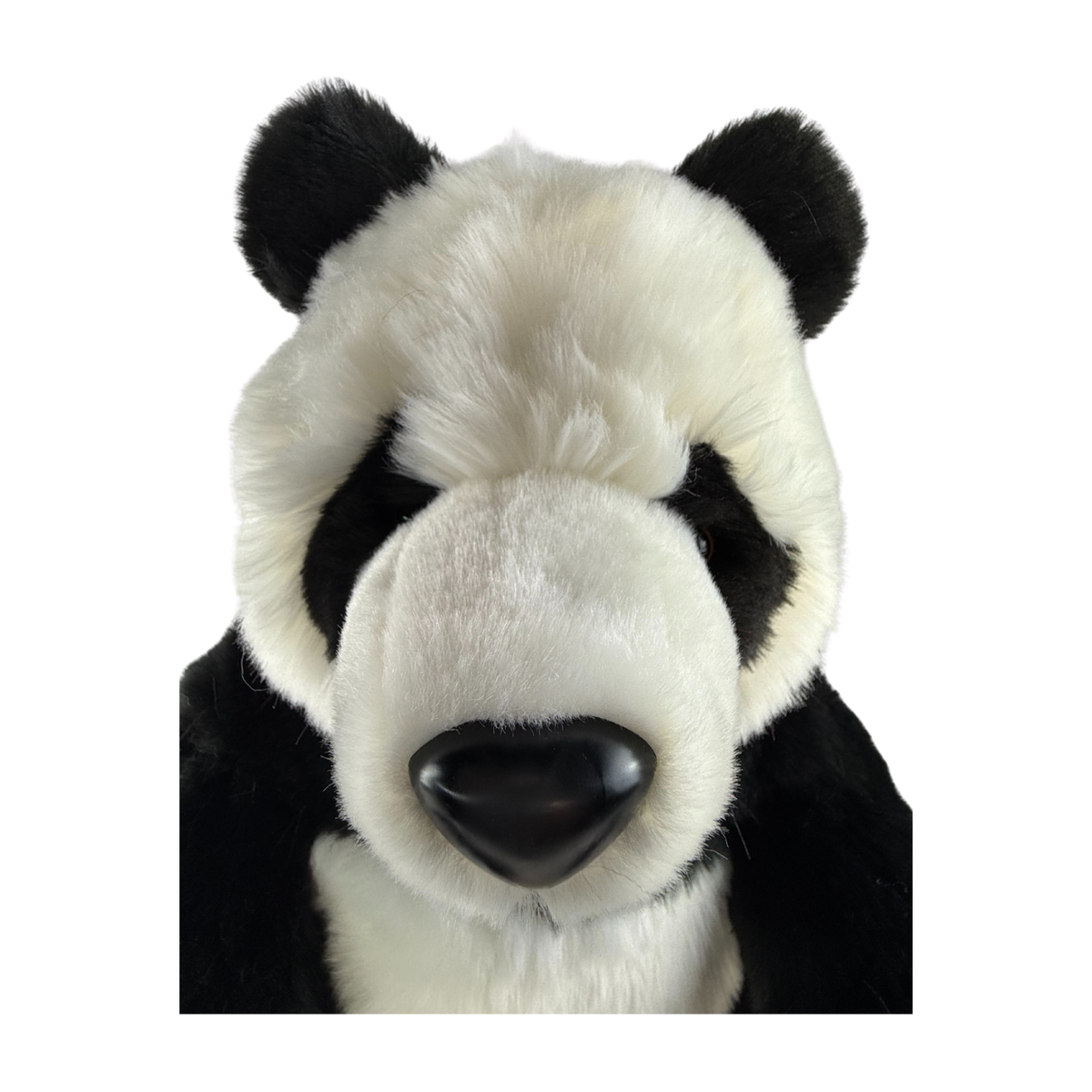 Bocchetta Min 50cm Sitting Giant Panda Bear Plush Toy (Realistic Stuffed Animal Wildlife Gift)