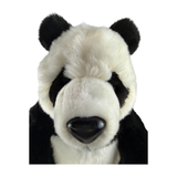 Bocchetta Min 50cm Sitting Giant Panda Bear Plush Toy (Realistic Stuffed Animal Wildlife Gift)