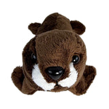 Bocchetta 13cm Mini Sea Lion Plush Toy (Stuffed Animal Sea Life Keyring Gift)