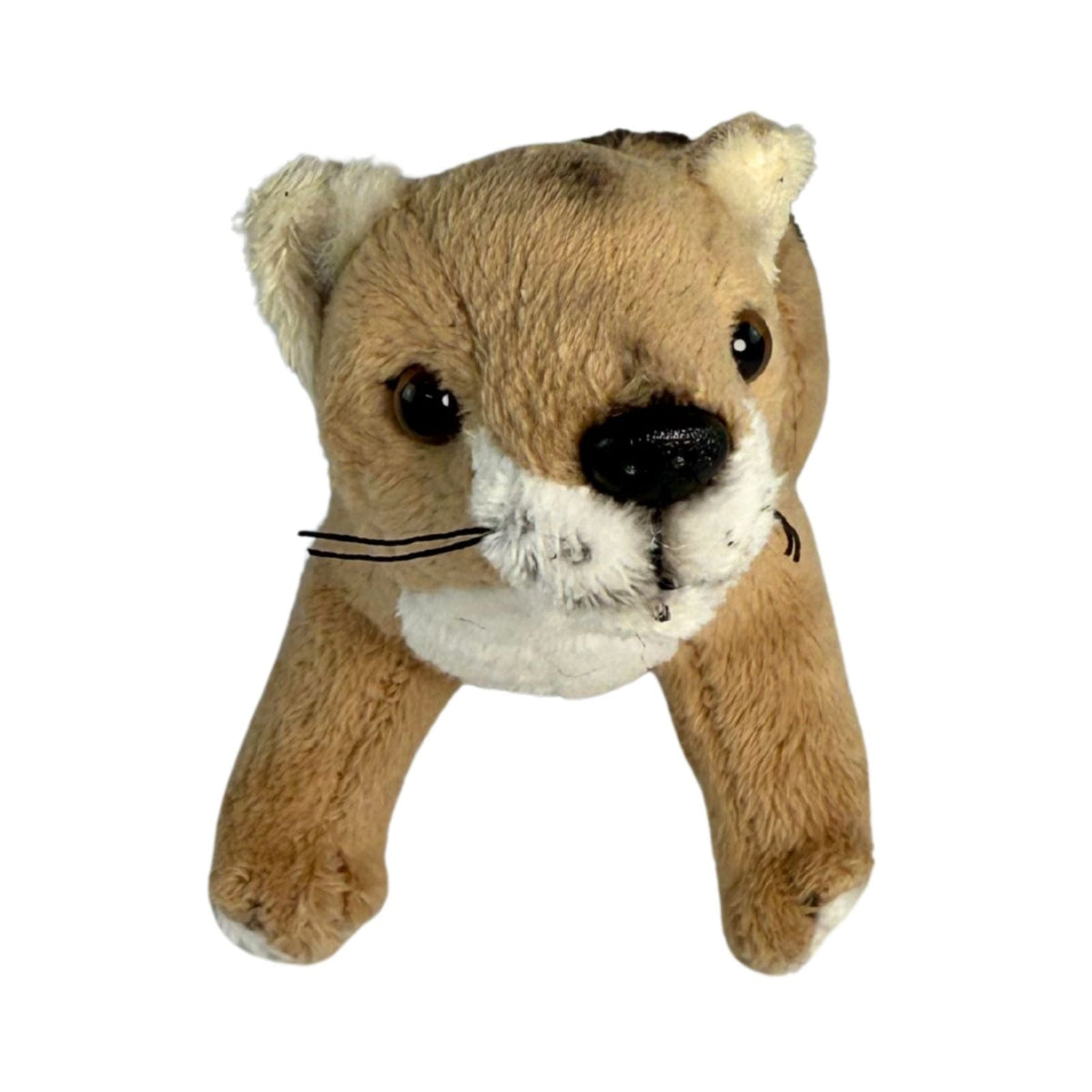 Bocchetta 14cm Mini Tasmanian Tiger Plush Toy (Australian Stuffed Animal Souvenir Keyring Gift)