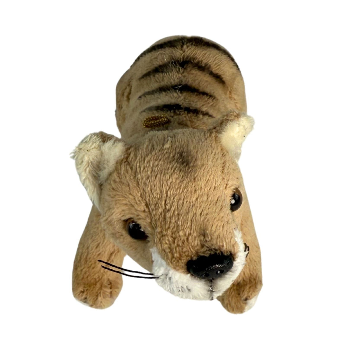 Bocchetta 14cm Mini Tasmanian Tiger Plush Toy (Australian Stuffed Animal Souvenir Keyring Gift)