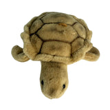 Bocchetta 11cm Mini Turtle Plush Toy (Stuffed Animal Sea Life Keyring Gift)