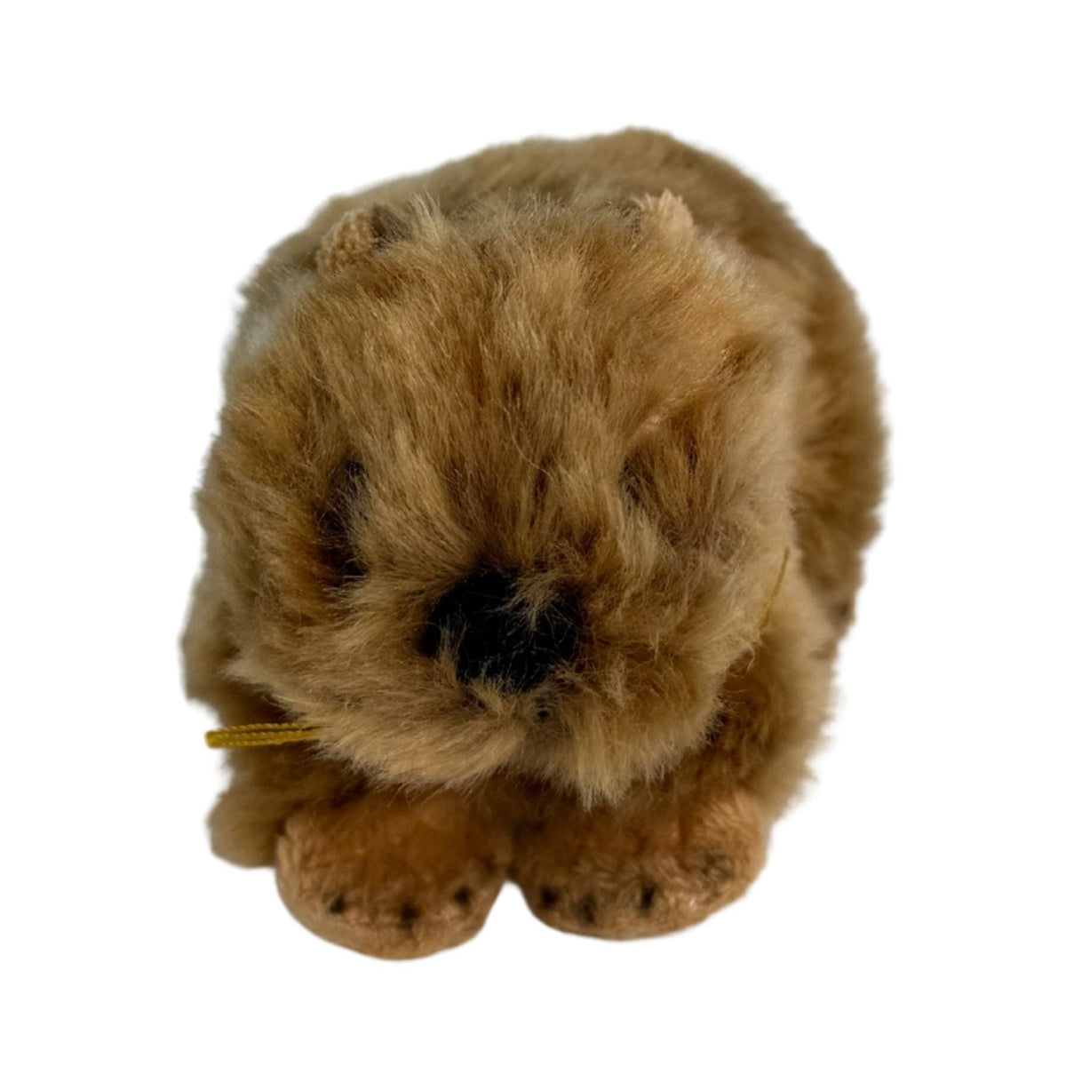 Bocchetta 14cm Mini Wombat Plush Toy (Australian Stuffed Animal Souvenir Keyring Gift)