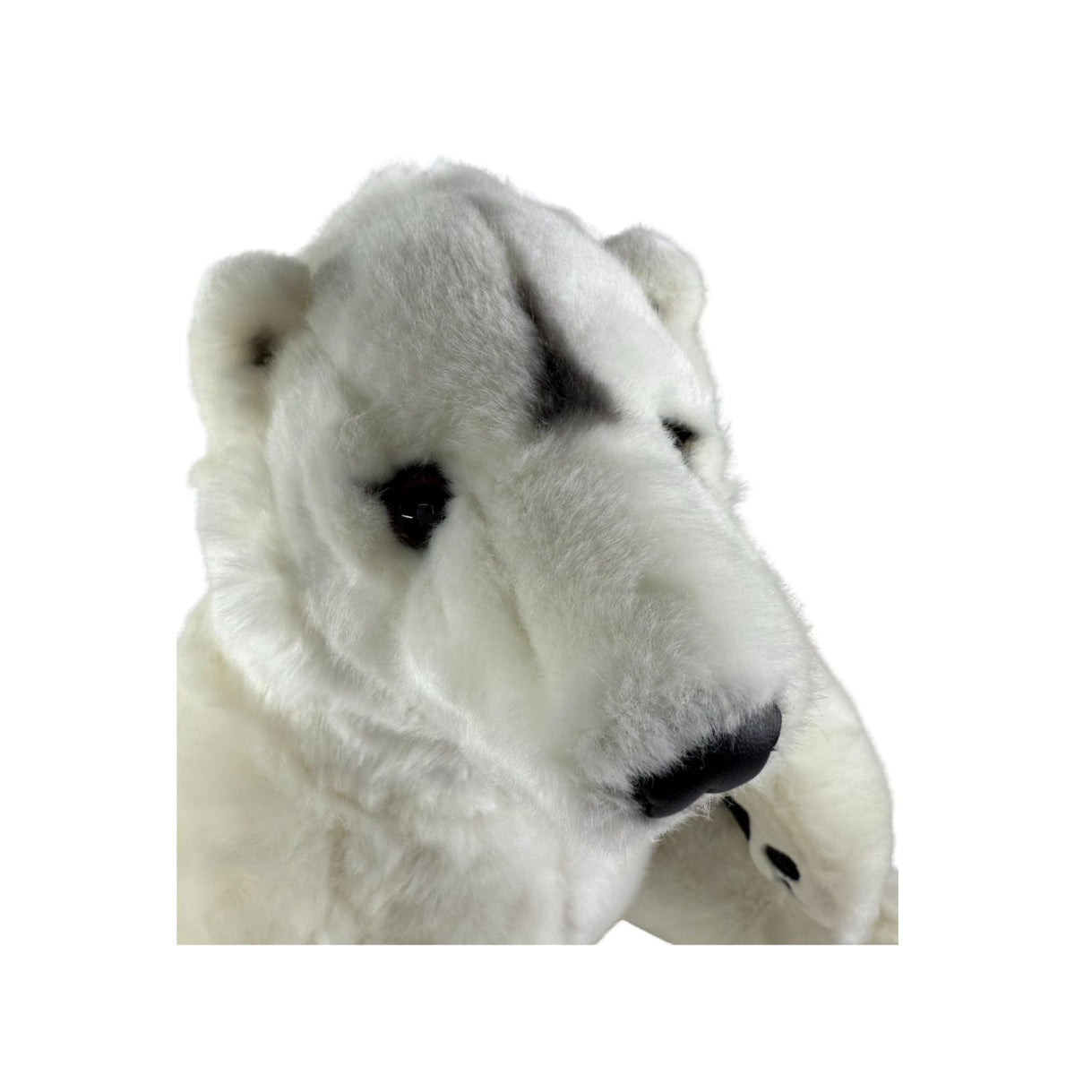 Bocchetta Minka 30cm Sitting Polar Bear Plush Toy (Realistic Stuffed Animal Wildlife Gift)