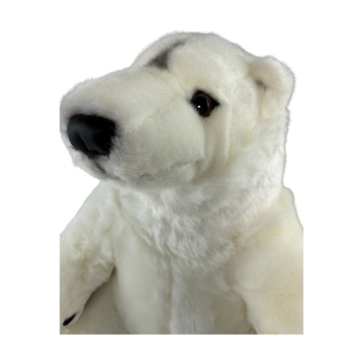 Bocchetta Minka 30cm Sitting Polar Bear Plush Toy (Realistic Stuffed Animal Wildlife Gift)