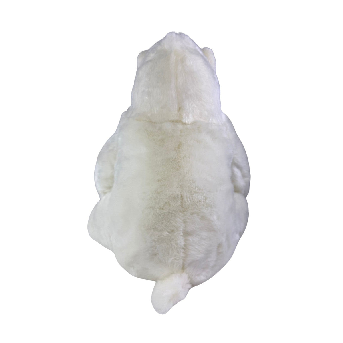 Bocchetta Minka 30cm Sitting Polar Bear Plush Toy (Realistic Stuffed Animal Wildlife Gift)