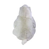 Bocchetta Minka 30cm Sitting Polar Bear Plush Toy (Realistic Stuffed Animal Wildlife Gift)