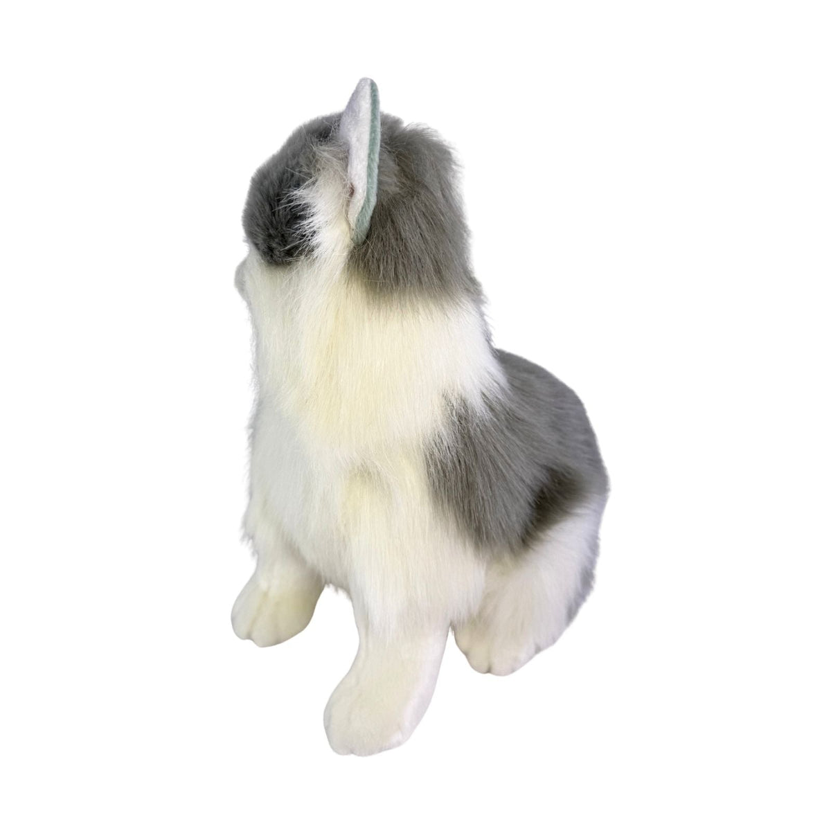 Bocchetta Missy 34cm Sitting Norwegian Forest Cat Plush Toy - Grey (Realistic Stuffed Animal Cat Gift)