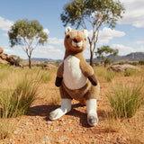 Bocchetta Monty 26cm Red Kangaroo Plush Toy (Australian Stuffed Animal Souvenir Gift)