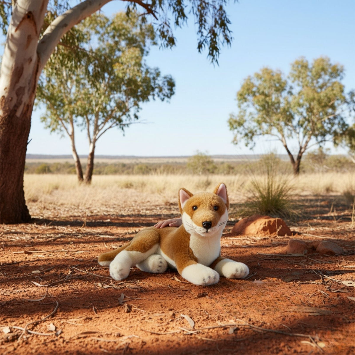Bocchetta Nelly 40cm Lying Dingo Plush Toy - Tan (Australian Stuffed Animal Souvenir Gift)