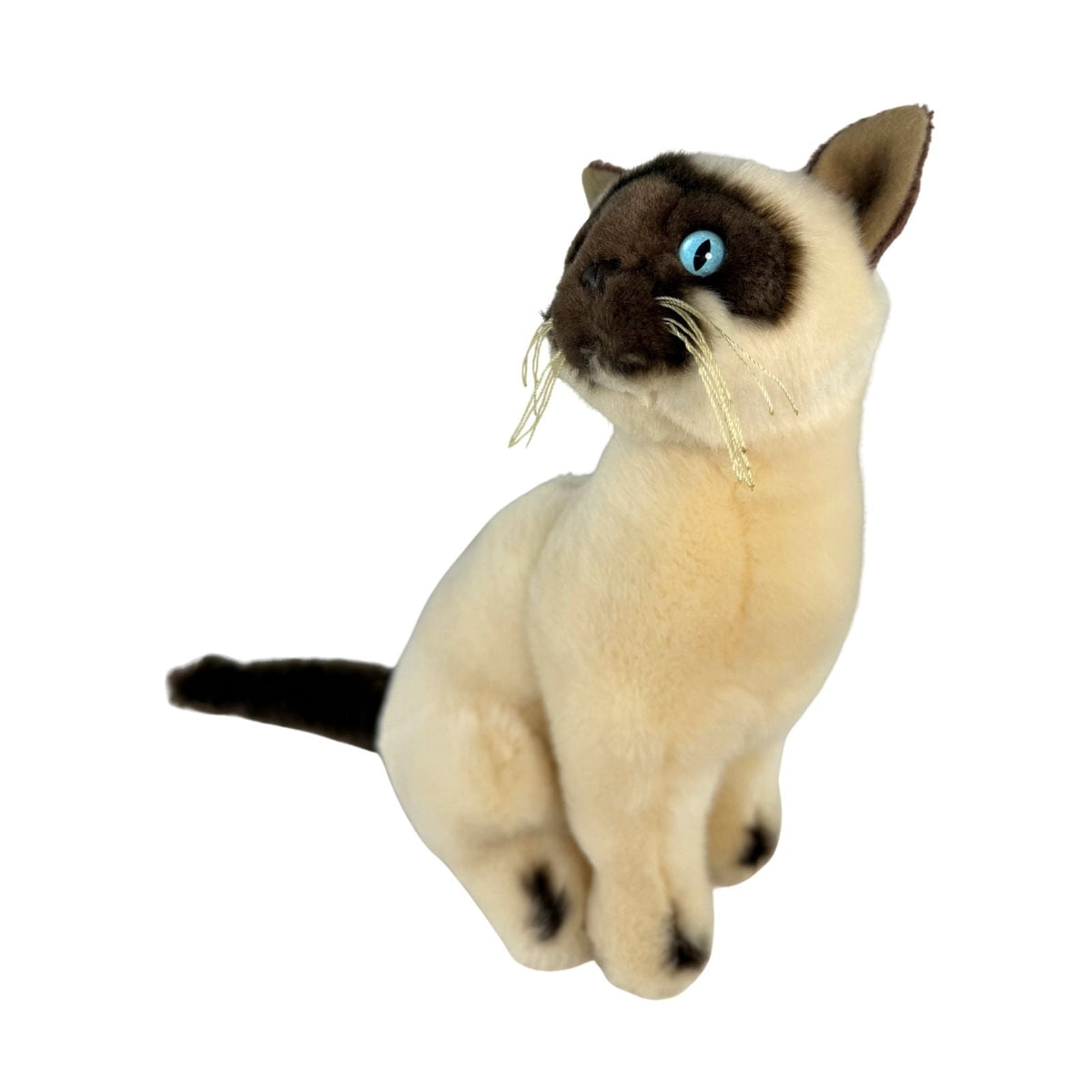 Bocchetta Noodles 26cm Sitting Siamese Cat Plush Toy (Realistic Stuffed Animal Cat Gift)