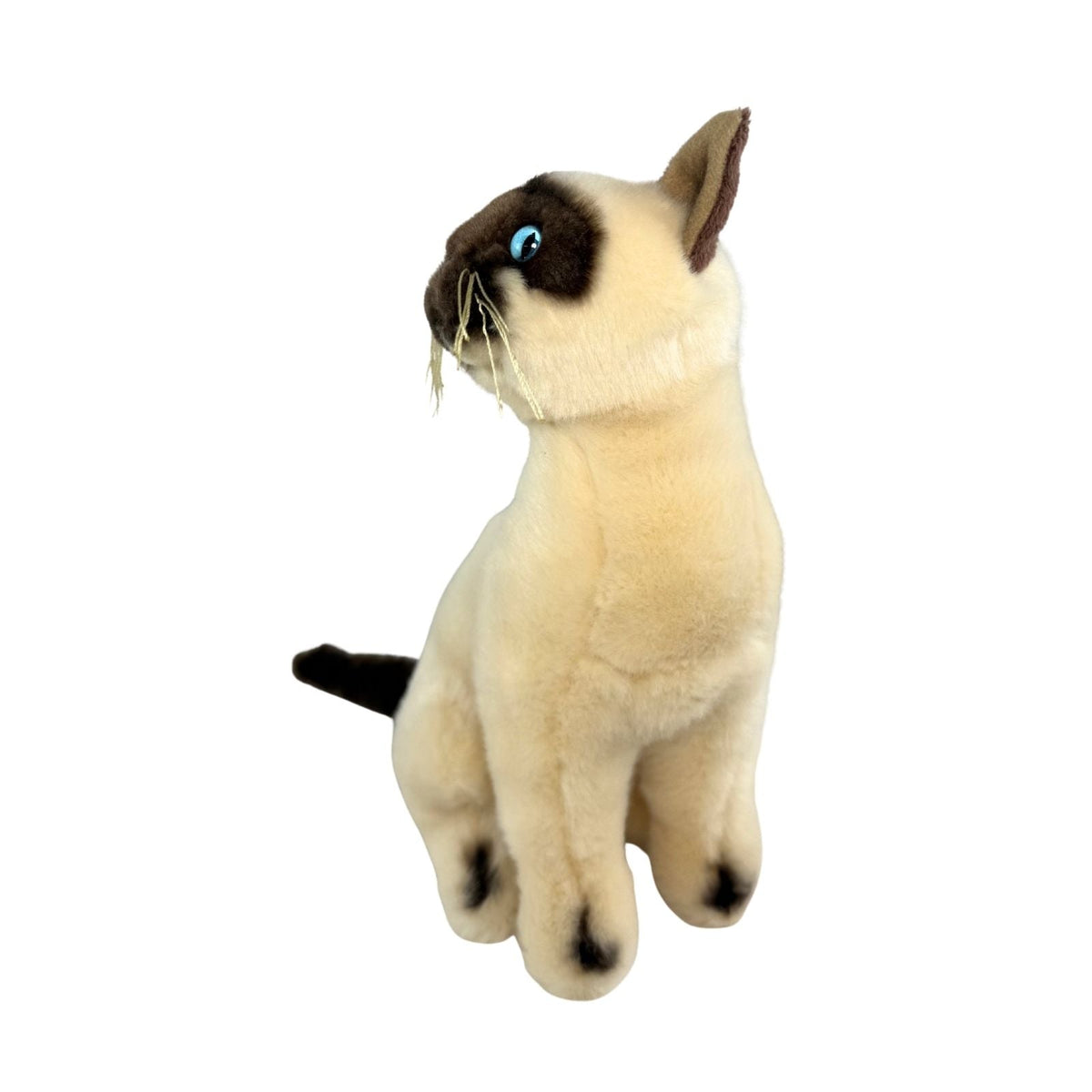 Bocchetta Noodles 26cm Sitting Siamese Cat Plush Toy (Realistic Stuffed Animal Cat Gift)