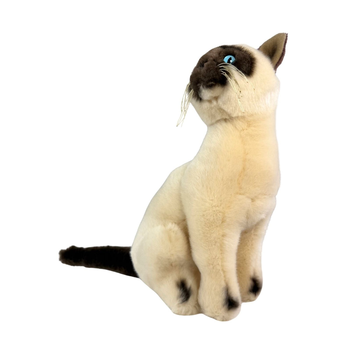 Bocchetta Noodles 26cm Sitting Siamese Cat Plush Toy (Realistic Stuffed Animal Cat Gift)