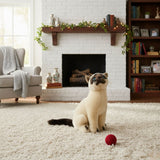 Bocchetta Noodles 26cm Sitting Siamese Cat Plush Toy (Realistic Stuffed Animal Cat Gift)