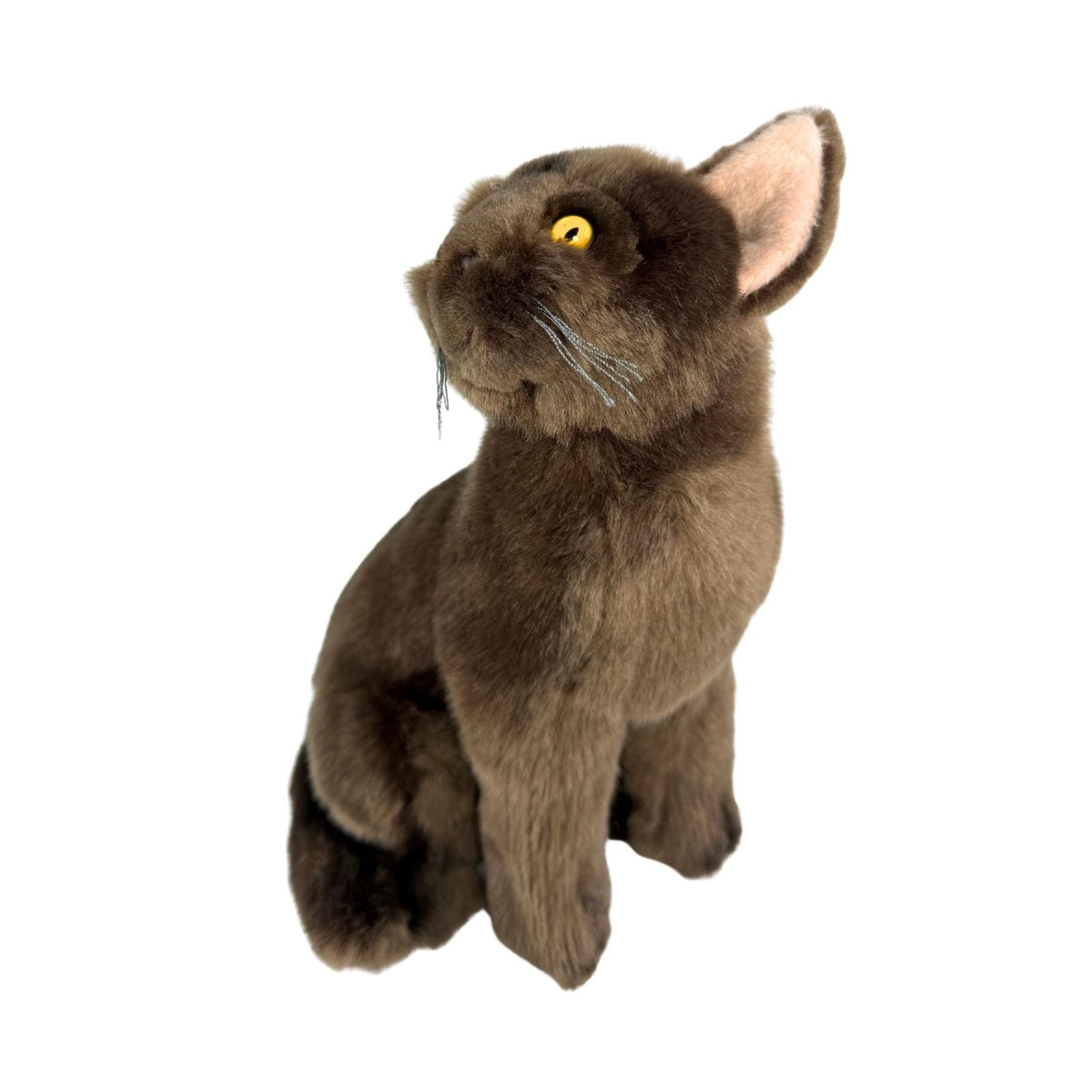 Bocchetta Nutmeg 26cm Sitting Burmese Cat Plush Toy - Chocolate Brown (Realistic Stuffed Animal Cat Gift)