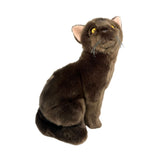 Bocchetta Nutmeg 26cm Sitting Burmese Cat Plush Toy - Chocolate Brown (Realistic Stuffed Animal Cat Gift)
