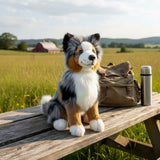 Bocchetta Oakley 35cm Sitting Australian Shepherd Plush Toy - Blue Merle (Realistic Stuffed Animal Dog Gift)