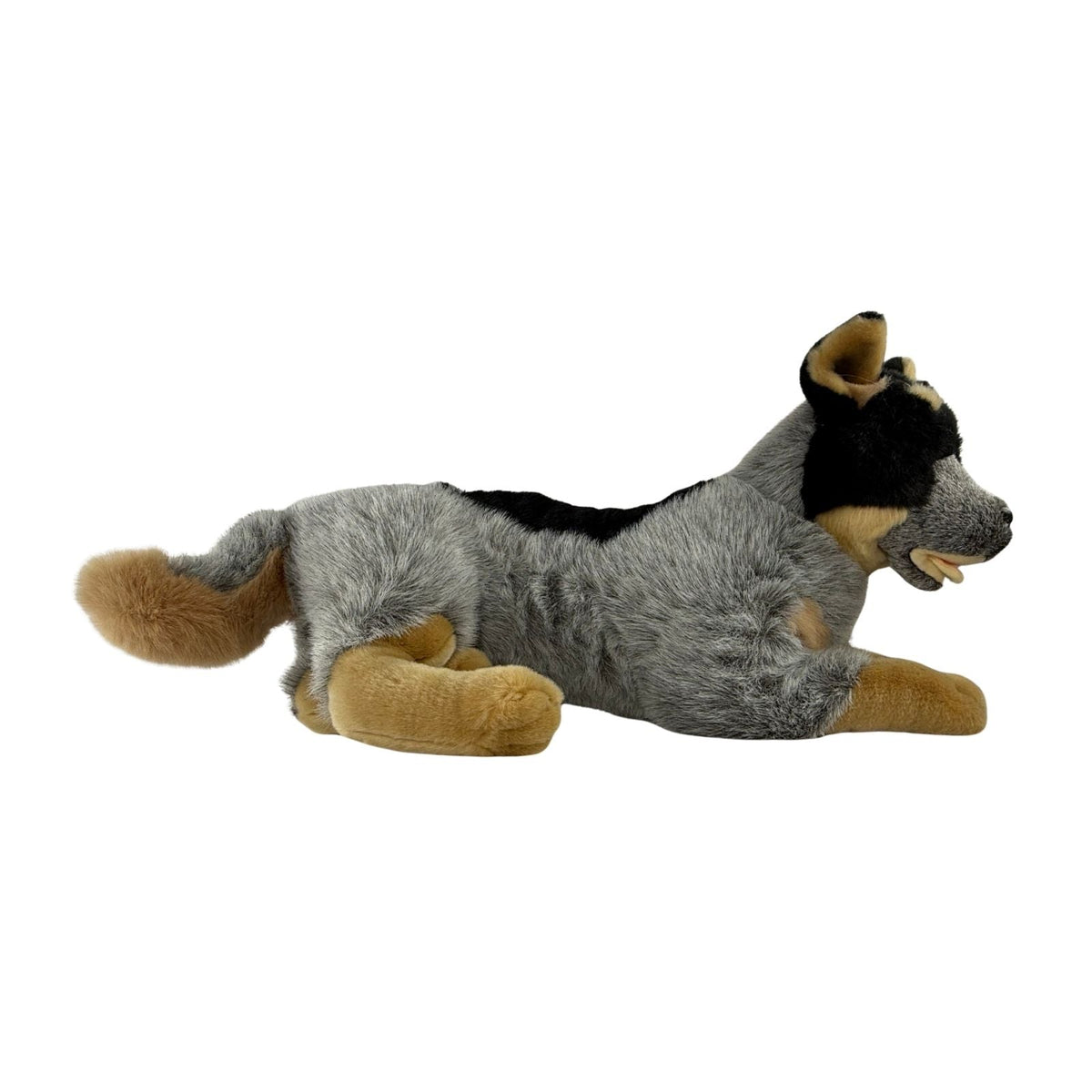 Bocchetta Orazio 62cm Lying Blue Heeler Cattle Dog Plush Toy (Australian Stuffed Animal Gift)