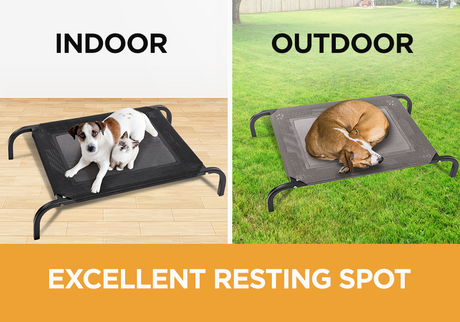 Furbulous Dog Trampoline Bed X-Large - Grey