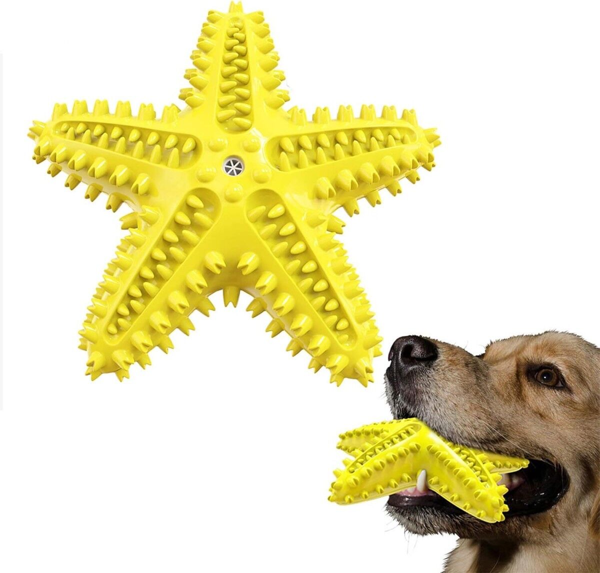 Dog Starfish Toothbrush Teeth Cleaner Squeak Chew Toy in Yellow Star