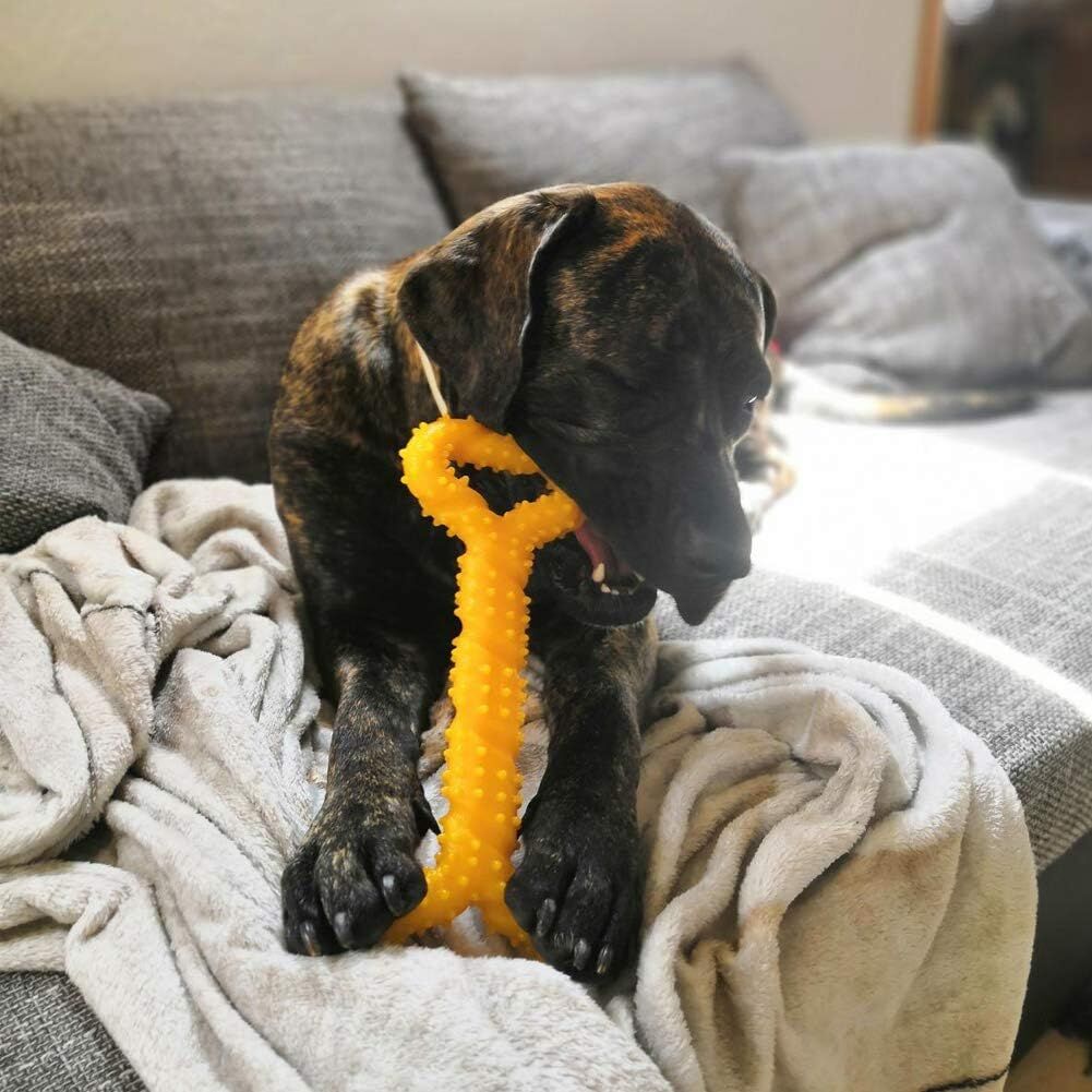 1x Large Dog Chew Toy for Tough & Aggressive Chewers - Assorted Colours (Heavy Duty)