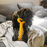1x Large Dog Chew Toy for Tough & Aggressive Chewers - Assorted Colours (Heavy Duty)