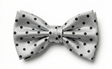 Formalaties Luxury Satin Polka Dot Bow Tie in Silver/Black