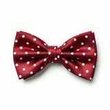 Formalaties Luxury Satin Polka Dot Hank Pocket Square & Bow Tie in Red/White