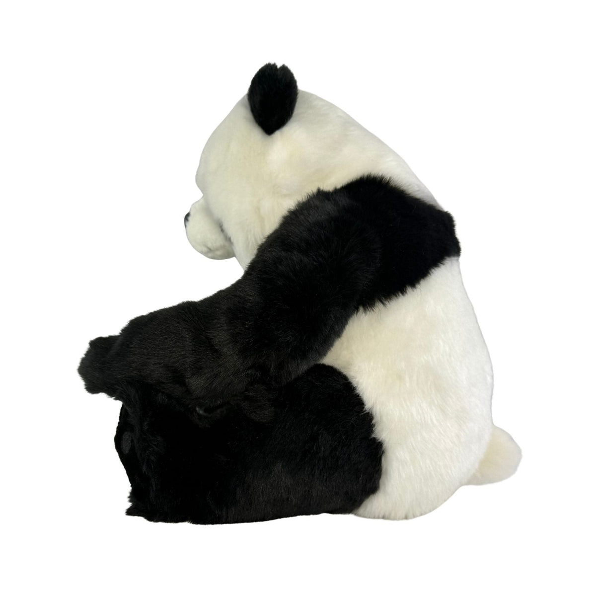 Bocchetta Ty 34cm Panda Bear Cub Plush Toy (Realistic Stuffed Animal Wildlife Gift)