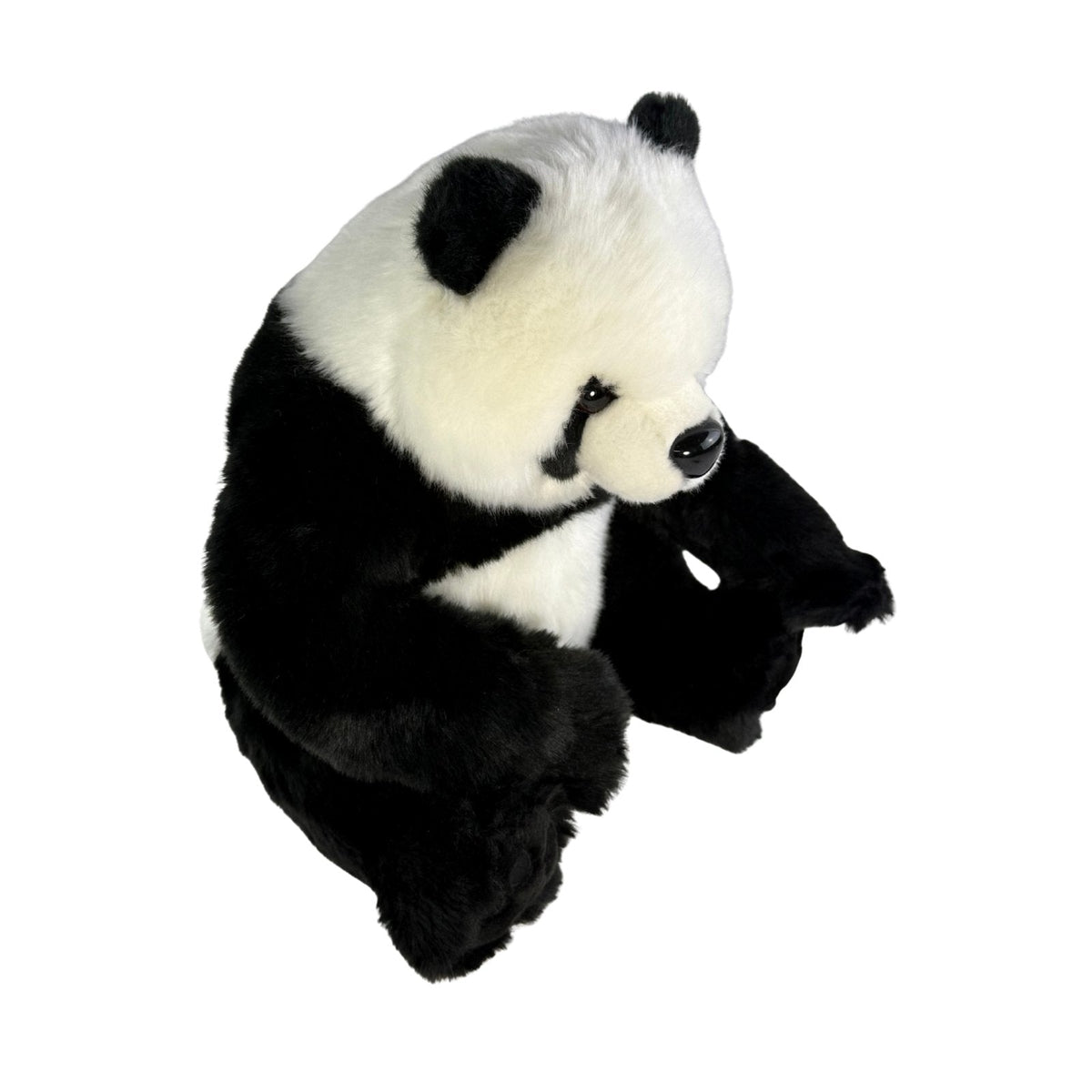 Bocchetta Ty 34cm Panda Bear Cub Plush Toy (Realistic Stuffed Animal Wildlife Gift)