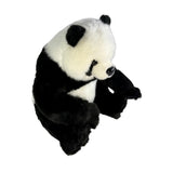 Bocchetta Ty 34cm Panda Bear Cub Plush Toy (Realistic Stuffed Animal Wildlife Gift)