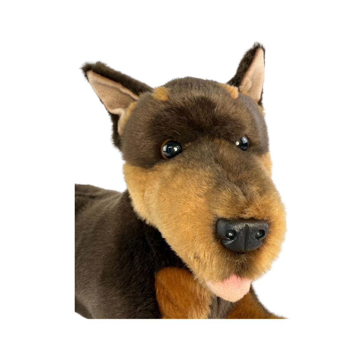 Bocchetta Parker 40cm Lying Kelpie Plush Toy (Australian Stuffed Animal Dog Gift)