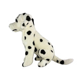 Bocchetta Pebbles 38cm Sitting Dalmatian Plush Toy (Realistic Stuffed Animal Dog Gift)