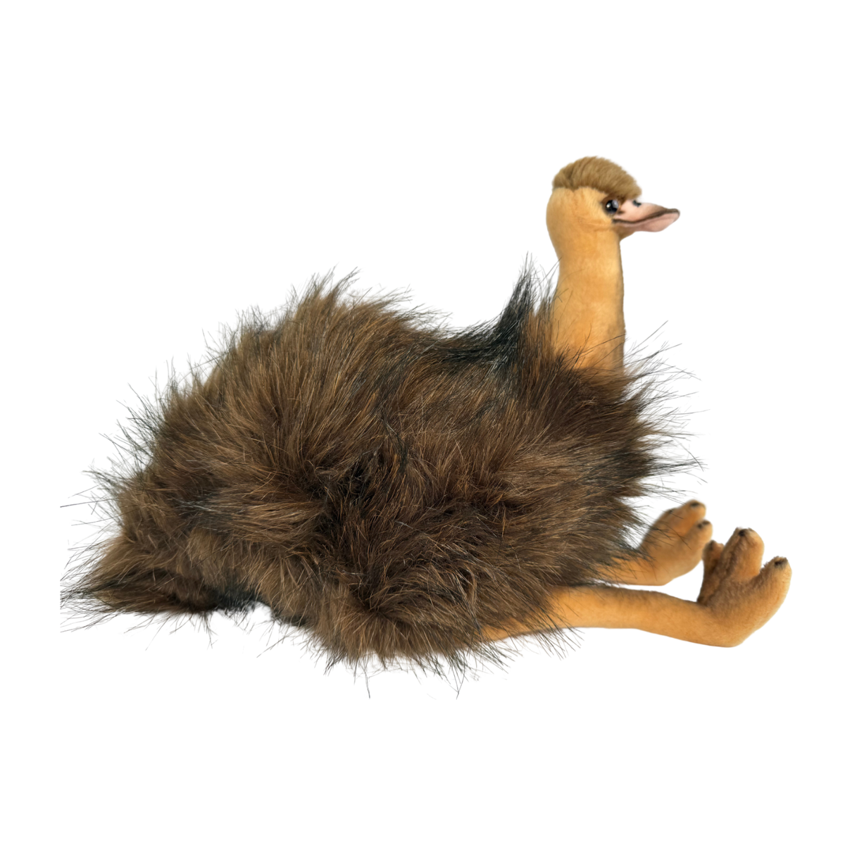 Bocchetta Penny 25cm Sitting Emu Plush Toy (Australian Stuffed Animal Souvenir Gift)