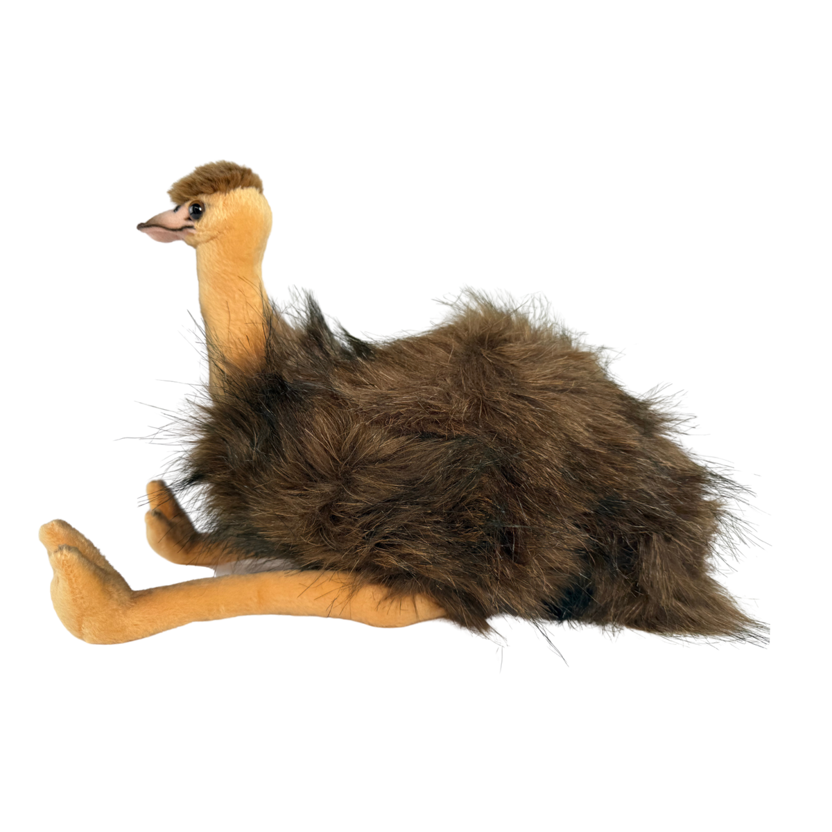 Bocchetta Penny 25cm Sitting Emu Plush Toy (Australian Stuffed Animal Souvenir Gift)
