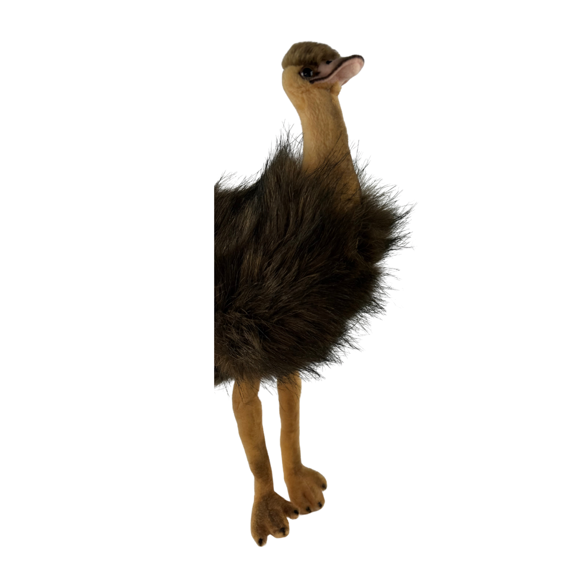 Bocchetta Penny 25cm Sitting Emu Plush Toy (Australian Stuffed Animal Souvenir Gift)