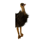 Bocchetta Penny 25cm Sitting Emu Plush Toy (Australian Stuffed Animal Souvenir Gift)