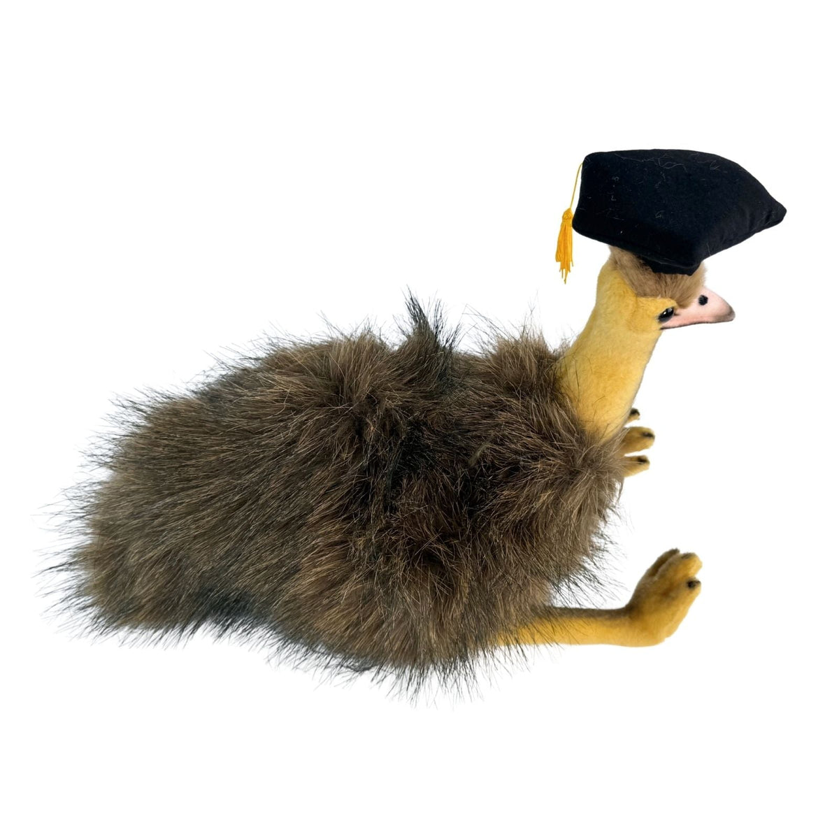Bocchetta Penny 24cm Graduation Emu Plush Toy (Stuffed Animal Grad Gift)