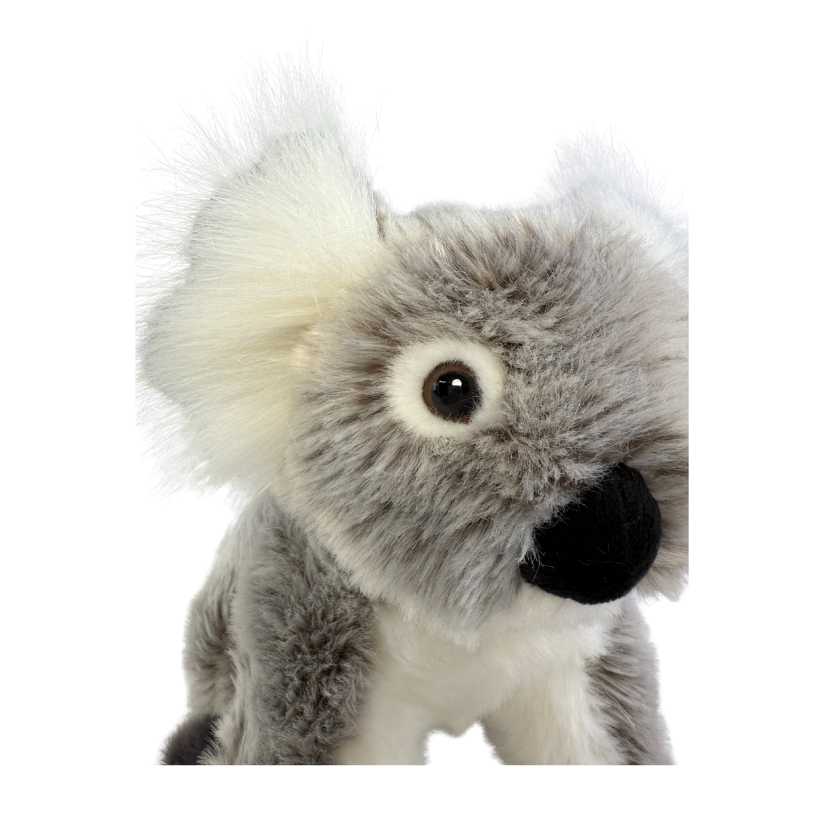 Bocchetta Petal 20cm Sitting Koala Plush Toy - Grey (Australian Stuffed Animal Souvenir Gift)