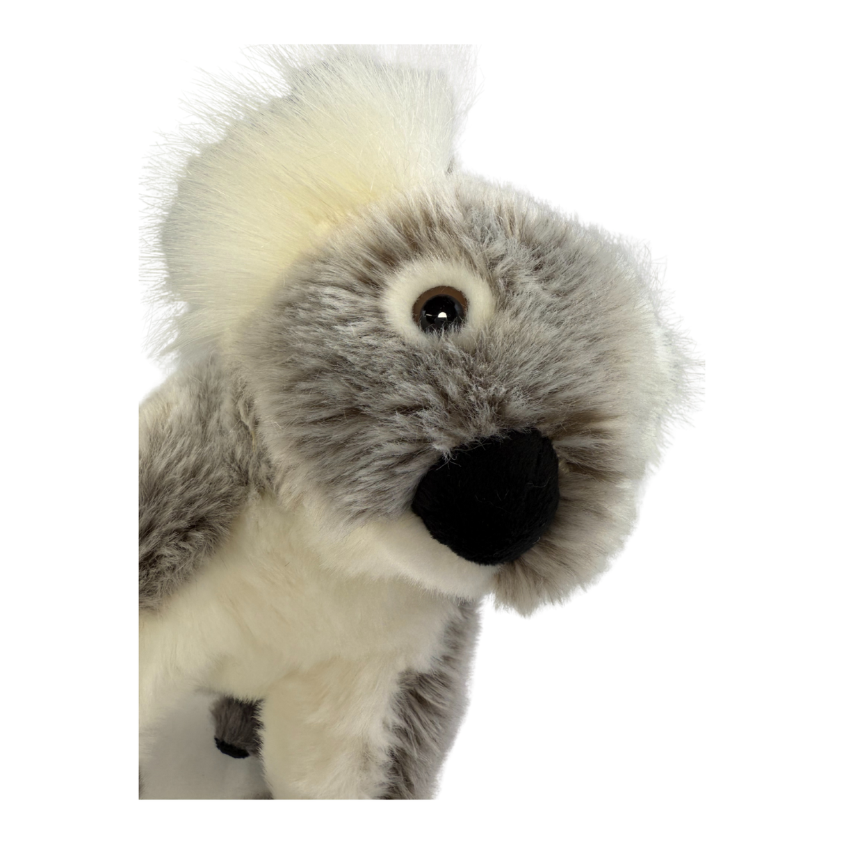 Bocchetta Petal 20cm Sitting Koala Plush Toy - Grey (Australian Stuffed Animal Souvenir Gift)