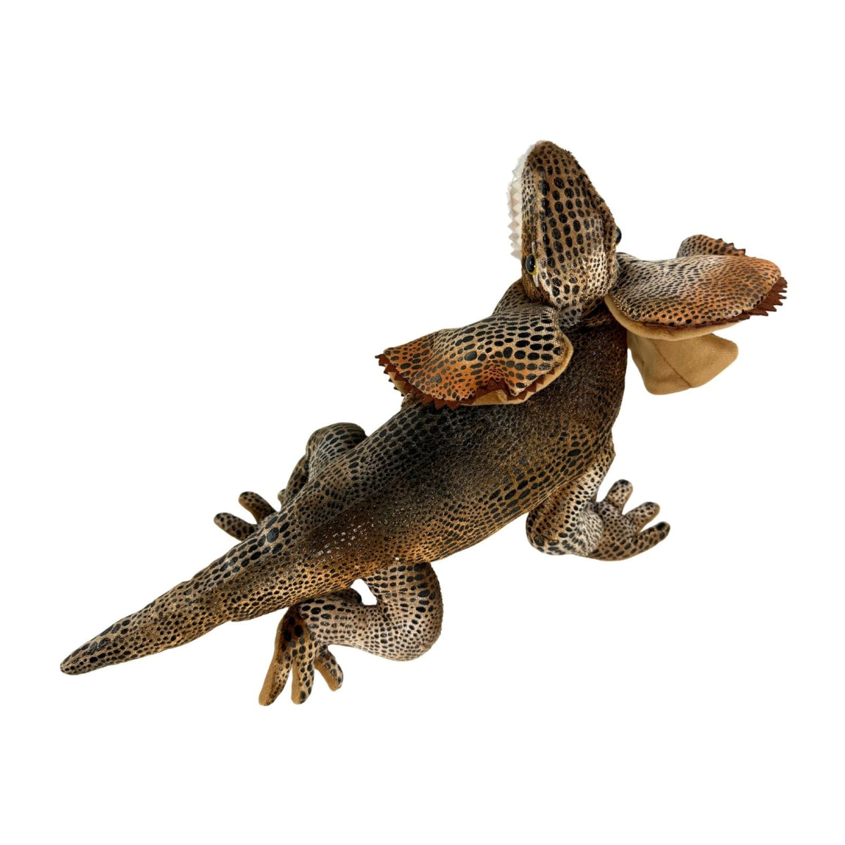 Bocchetta Philly 34cm Frilled Neck Lizard Plush Toy (Australian Stuffed Animal Souvenir Gift)
