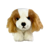 Bocchetta Phoebe 28cm Floppy Cavalier King Charles Spaniel Puppy Plush Toy - Brown (Realistic Stuffed Animal Dog Gift)