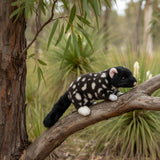 Bocchetta Polka 20cm Eastern Quoll Plush Toy - Black (Australian Stuffed Animal Souvenir Gift)