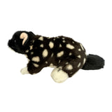 Bocchetta Polka 20cm Eastern Quoll Plush Toy - Black (Australian Stuffed Animal Souvenir Gift)
